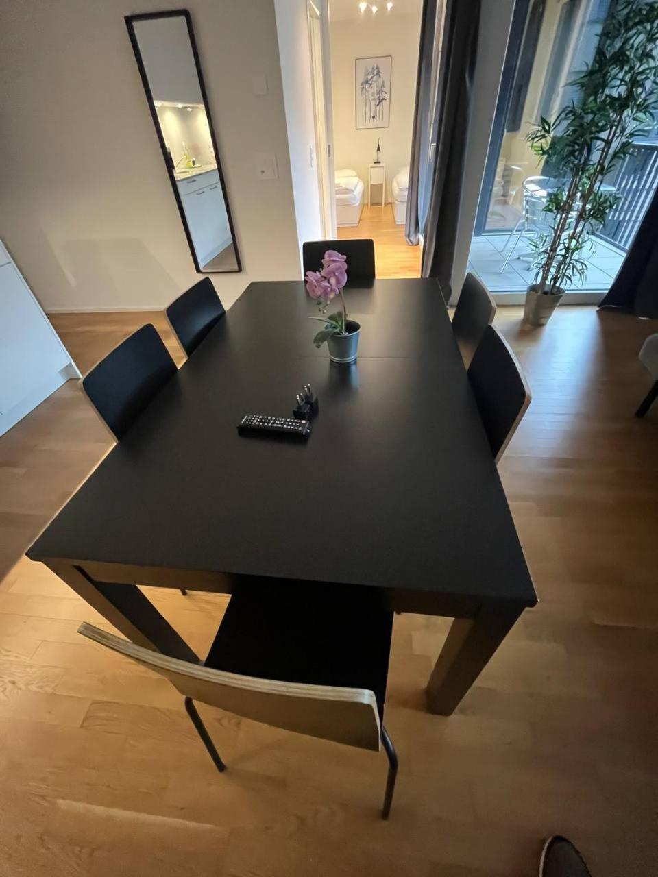 Esc Comfort Studio 2 Bed Apartment Basel